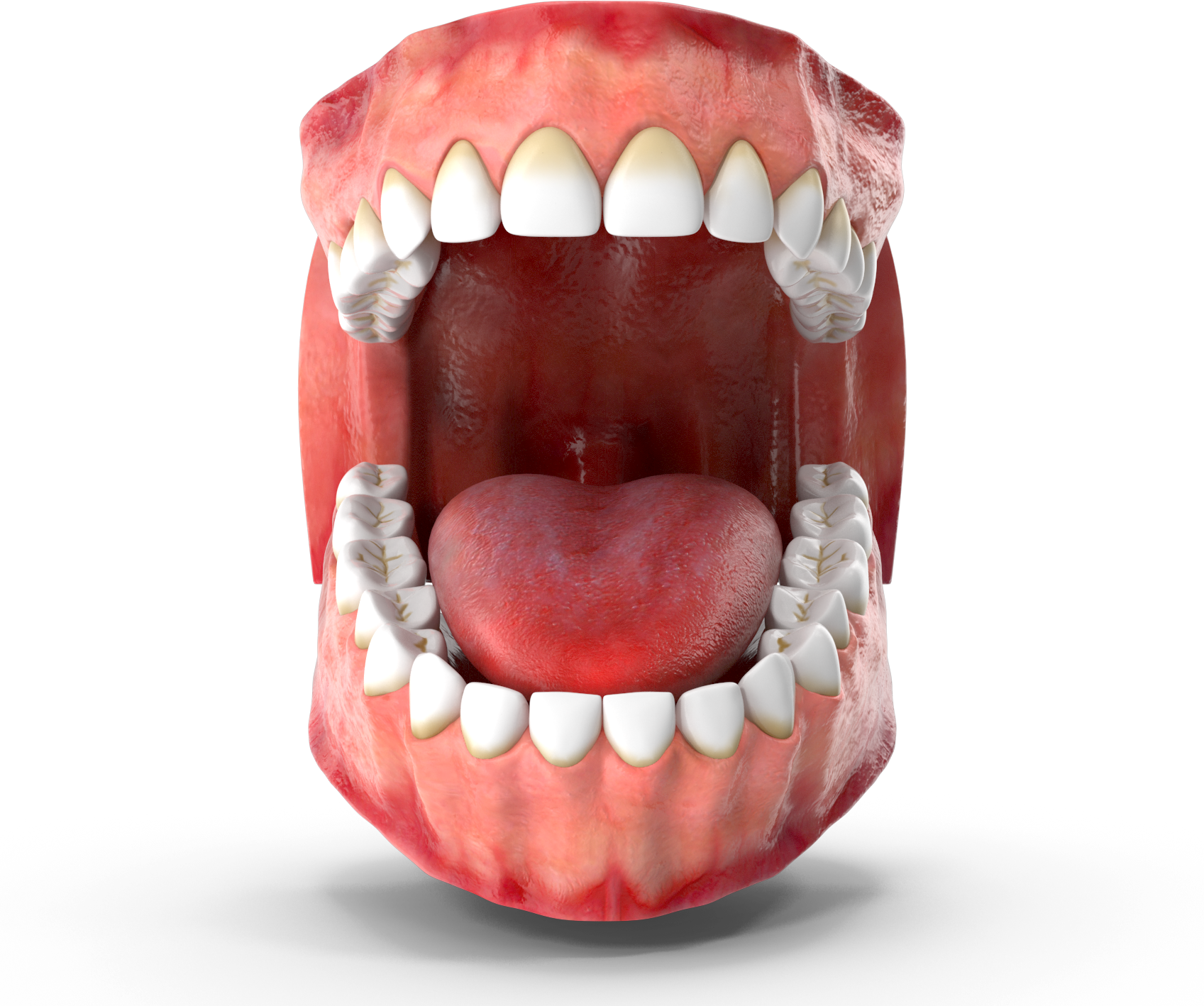 teeth-and-gums-miami-dental-sedation-spa