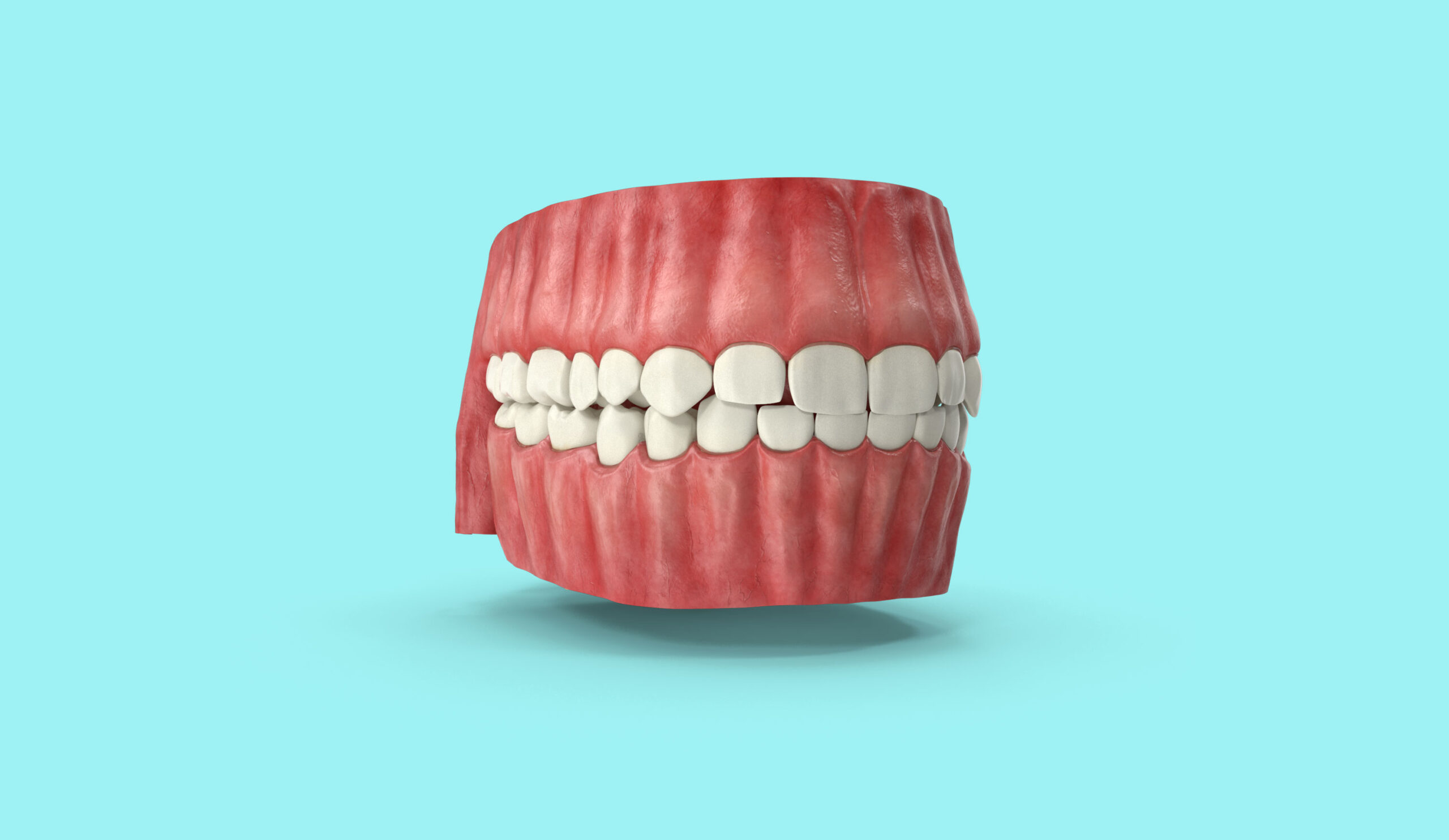 Human-Gums-Teeth-and-Tongue-miami-dental-sedation-spa